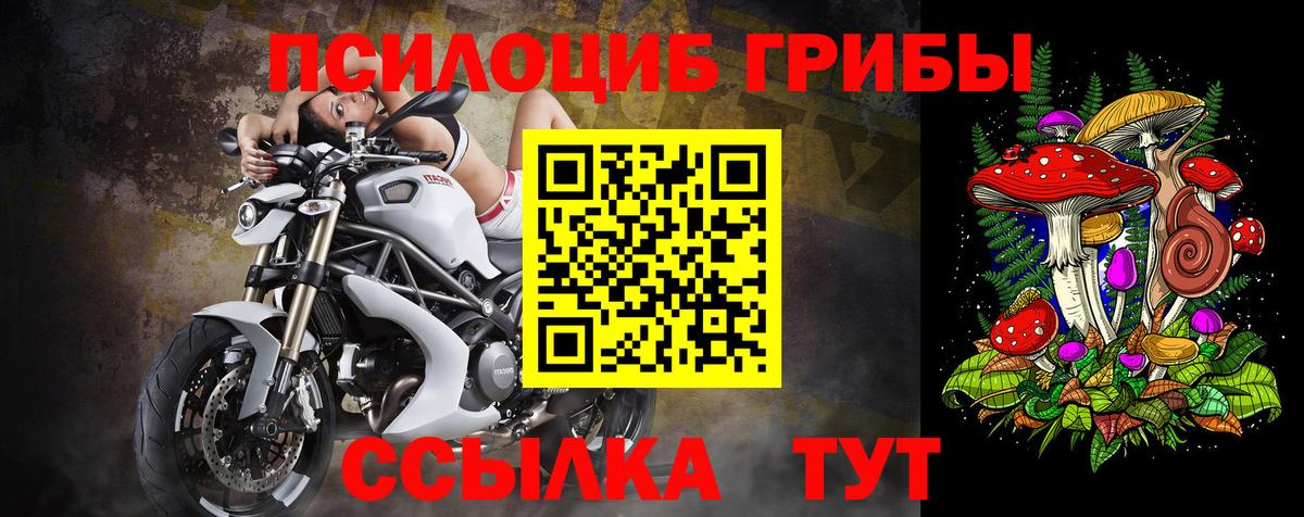 Галлюциногенные грибы мицелий Долгопрудный